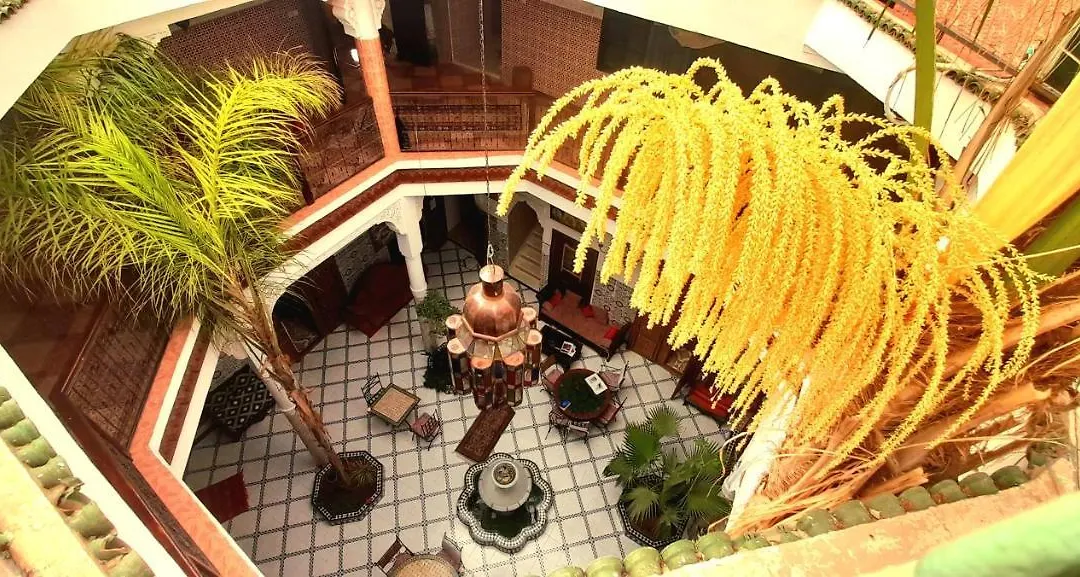 Riad Chennaoui-1