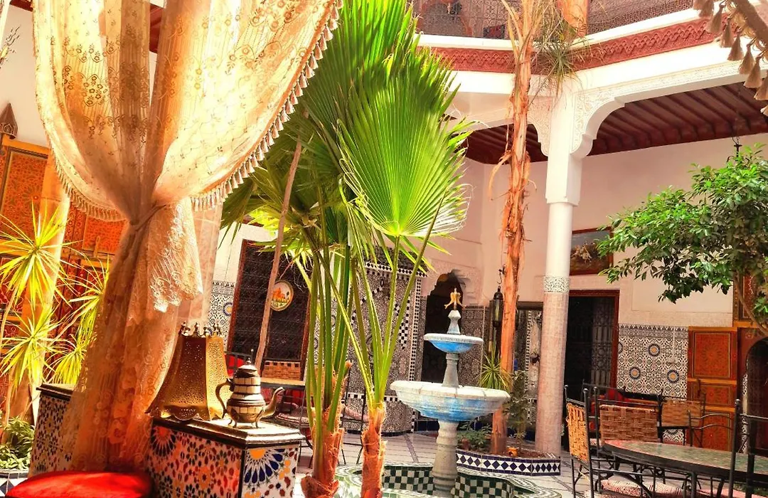 Riad Chennaoui-1
