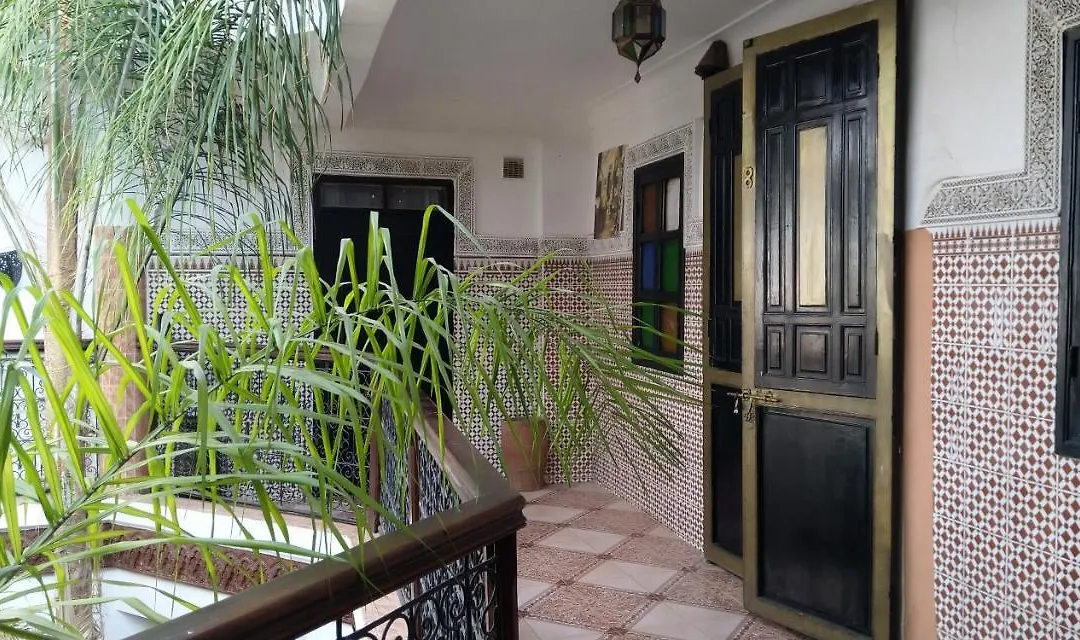 Riad Chennaoui-1